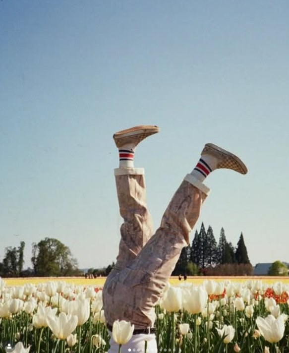 Duvin Design Co — Heels over head, tulip season