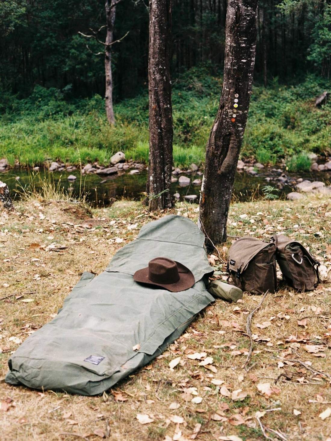 Remote Projects — Rainforest trails